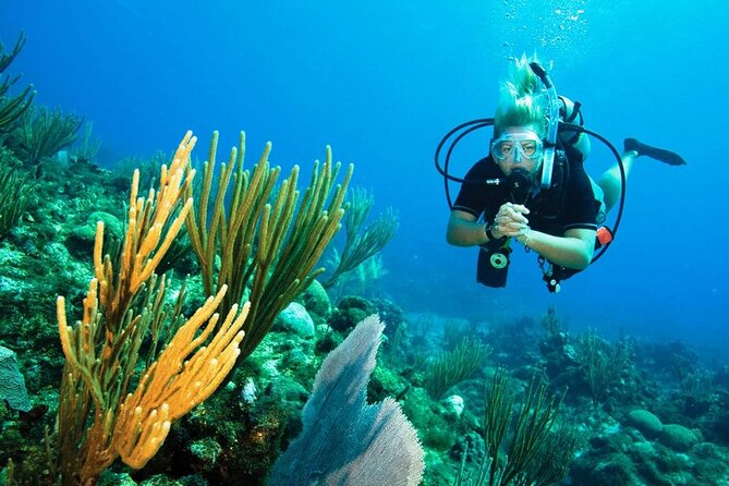 Pattaya PADI Beginner Scuba Diving One Try Dive Depth 6 Meters and Snorkeling ) - Price and Value: What $162.76 Gets You