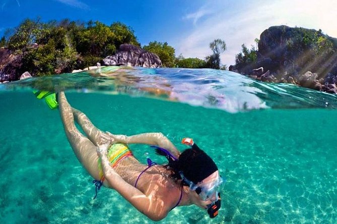 Pattaya PADI Beginner Scuba Diving One Try Dive Depth 6 Meters and Snorkeling ) - Your Morning Scuba Trial: Regulator Breathing to 6-Meter Reef Time