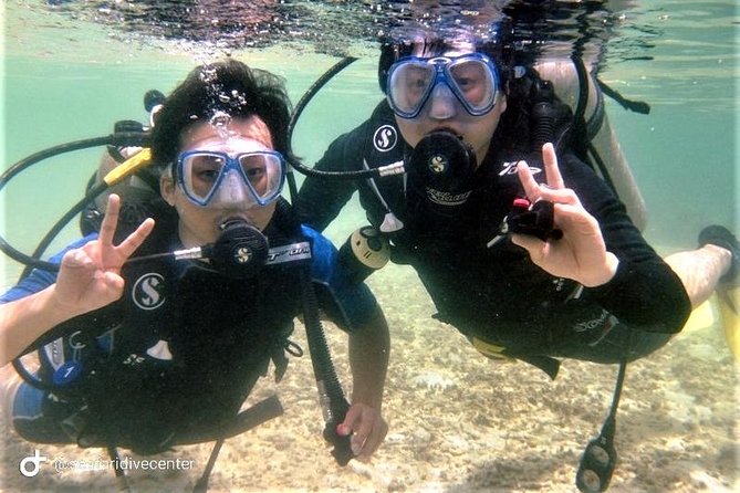 Pattaya PADI Scuba Diving Two Exciting Try Dives with PADI Instructor in Pattaya - Pattaya morning logistics: pickup, meeting, and the 8:00am start
