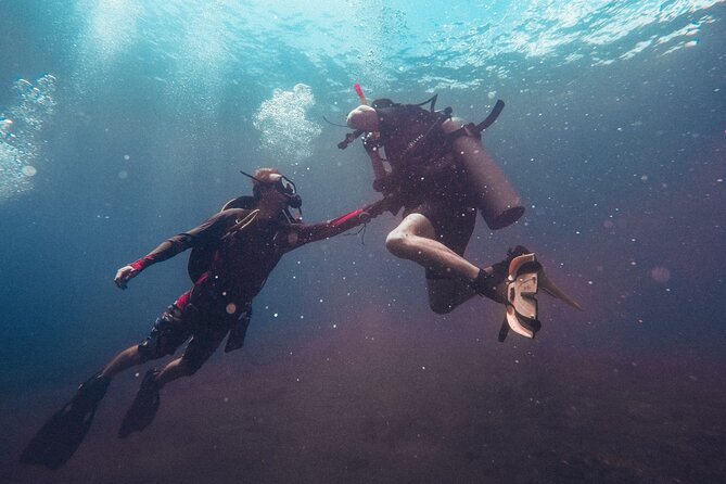 Pattaya PADI Scuba Diving Two Exciting Try Dives with PADI Instructor in Pattaya - Two reef tours with a lunch break in the middle
