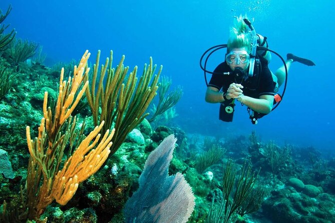 Pattaya PADI Scuba Diving Two Exciting Try Dives with PADI Instructor in Pattaya - Who this program fits best (and who should think twice)