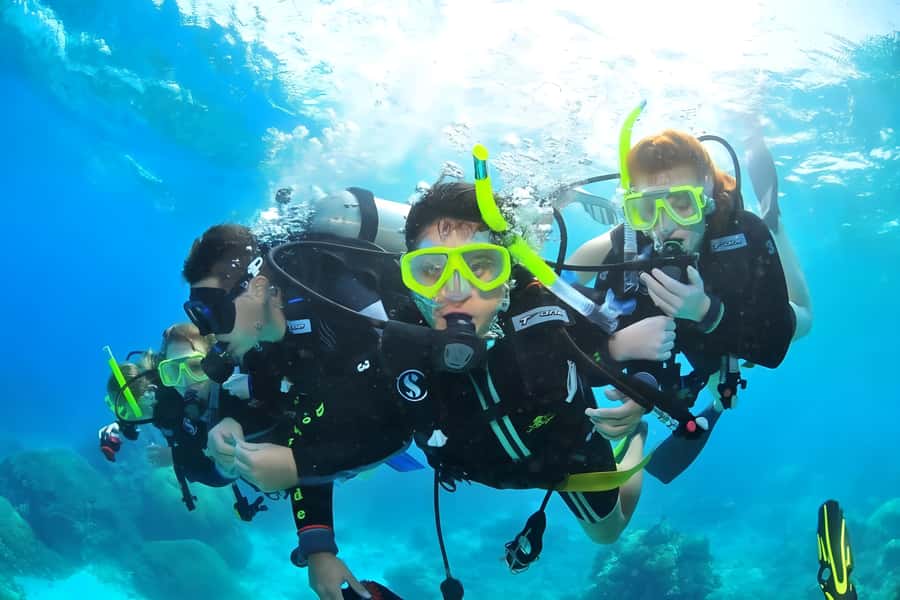 Pattaya: Snorkeling or Beginner Scuba Diving Tour with lunch - Price and value: is $83 per person worth it?
