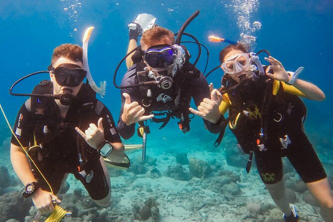 Personalized Discover Scuba Dive Experience in Curaçao - Key Highlights You’ll Care About