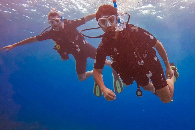 Personalized Discover Scuba Dive Experience in Curaçao - The Shallow Bay Start: Your Confidence Builder