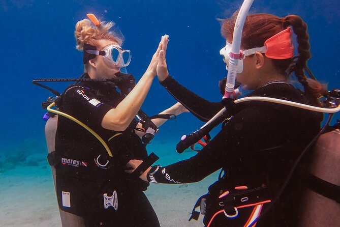 Personalized Discover Scuba Dive Experience in Curaçao - Reef Time in Curaçao: Coral, Fish, and Sea Turtles