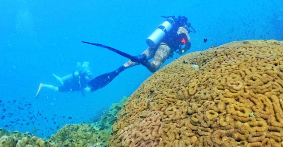 Phu Quoc: Scuba Diving Experience for All Levels - Key things I’d watch for before booking