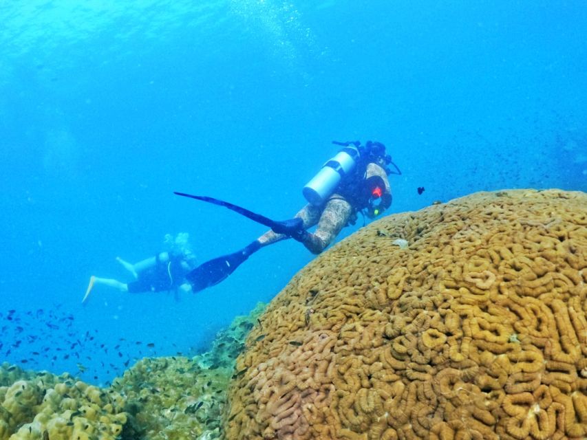 Phu Quoc: Scuba Diving Experience for All Levels - Who this is best for (and who should skip it)