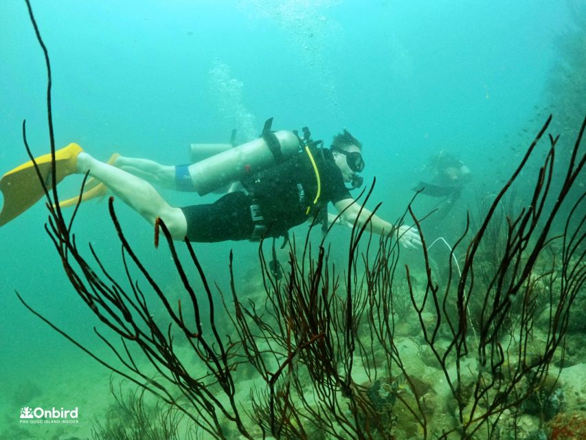 Phu Quoc: Scuba Diving Experience for All Levels - First underwater session: the confidence check at 6 meters