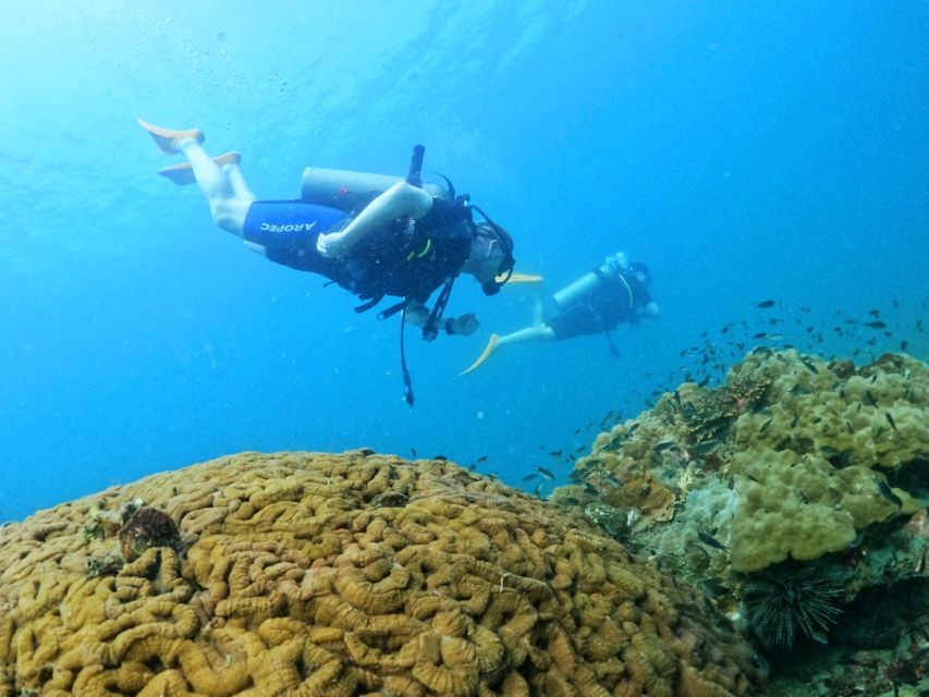 Phu Quoc: Scuba Diving Experience for All Levels - Price and value: what $102 includes (and where extra costs can appear)