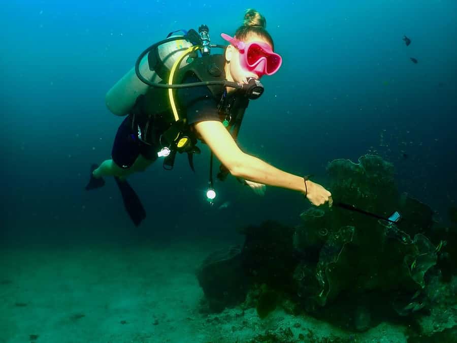 Phuket: 3 Dive Koh Phi Phi/Shark Point Scuba Diving Day Trip - What to bring (and what to plan for) so the day stays smooth