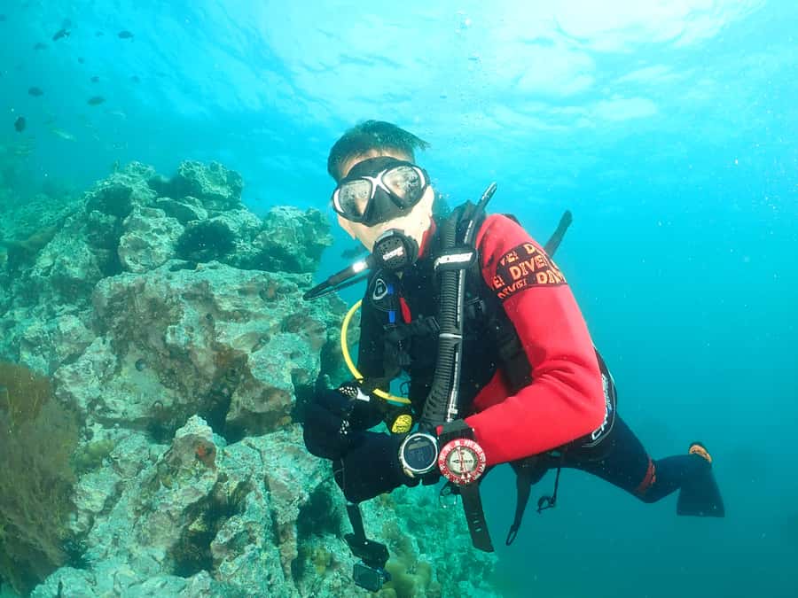 Phuket: 3 Dive Koh Phi Phi/Shark Point Scuba Diving Day Trip - Price and logistics: what $176 covers, and what costs extra