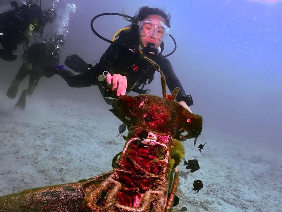 Phuket: 3 Dive Koh Phi Phi/Shark Point Scuba Diving Day Trip - Reef structures and marine life: what to expect to actually see