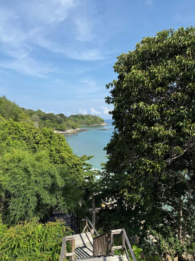 Phuket: Coral Reef Scuba Diving Experience at G Beach Club - Price check: is $96 worth it for what you get?