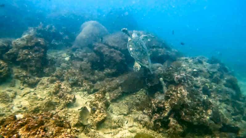 Phuket: Coral Reef Scuba Diving Experience at G Beach Club - Languages and people: why the instruction team matters