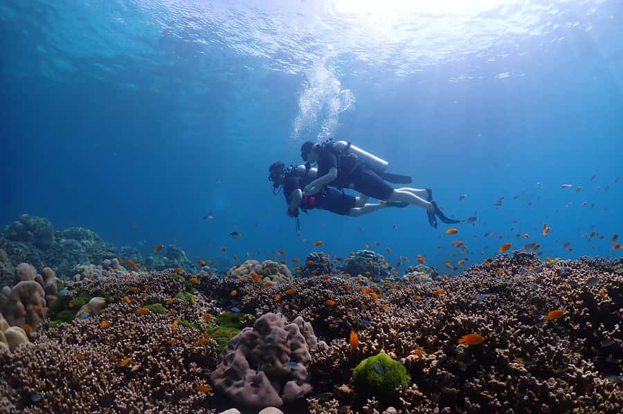 Phuket: Discover Scuba Diving to Racha Yai Island - Price and Value: What You’re Actually Buying for $153
