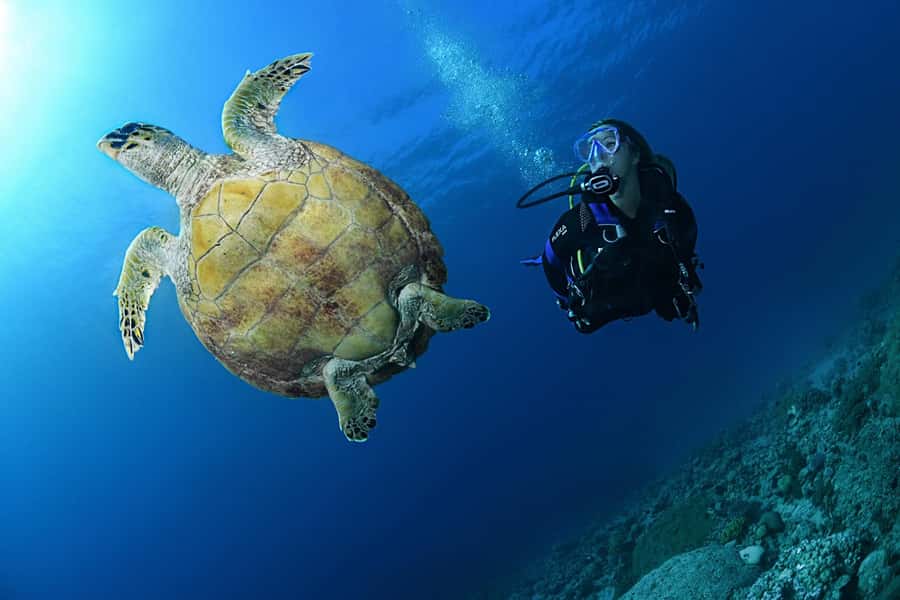 Phuket: Discover Scuba Diving to Racha Yai Island - Photos, Camera Rules, and How to Get Real Memories