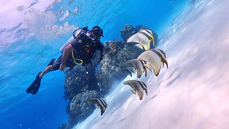 Phuket: Discover Scuba Diving to Racha Yai Island - Who This Trip Suits Best (and Who Might Want to Skip It)