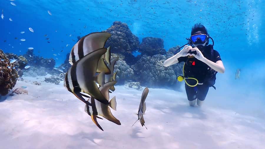 Phuket: Discover Scuba Diving to Racha Yai Island - Instructor Coaching That Keeps It Safe (and Calm)