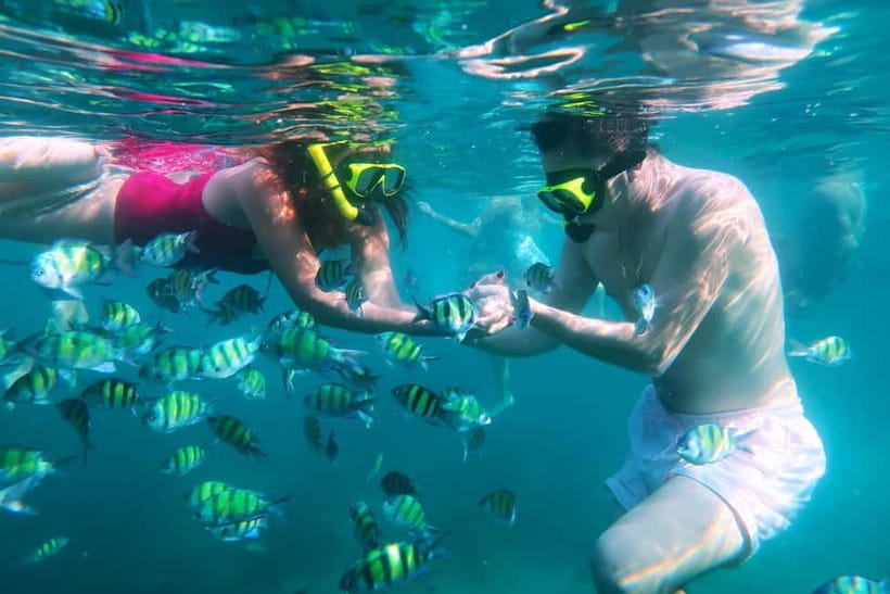 Phuket: Khai Islands Tour Or Scuba Diving Options - Price and value: what $23 covers, and what you may still pay