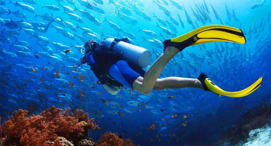 Phuket: PADI Advanced Open Water Course 2 days/6 Dives - Racha Yai and Racha Noi: why this area fits the Advanced level