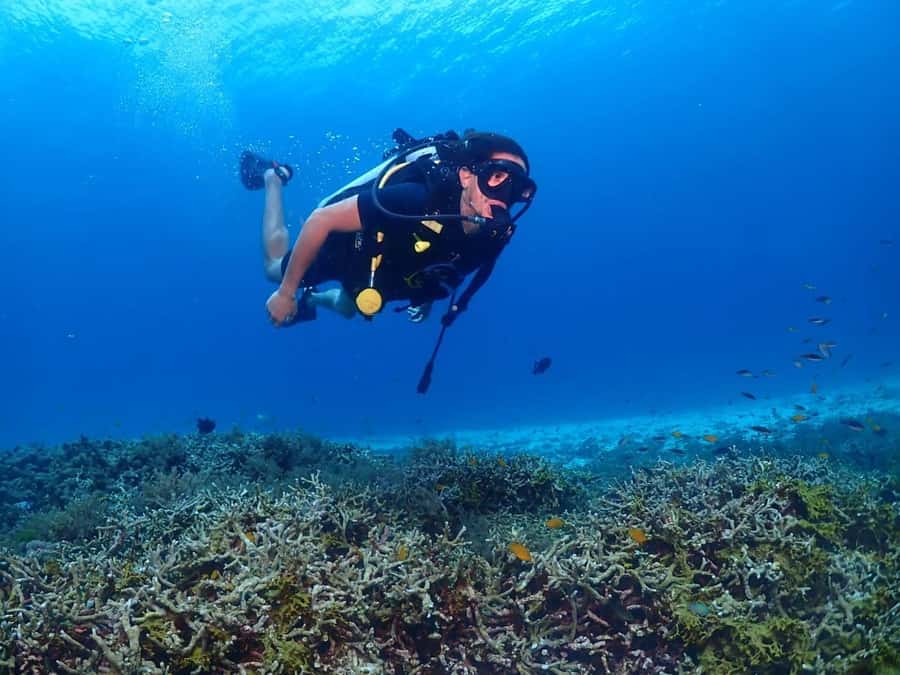 Phuket: PADI Advanced Open Water Course 2 days/6 Dives - Should you book it