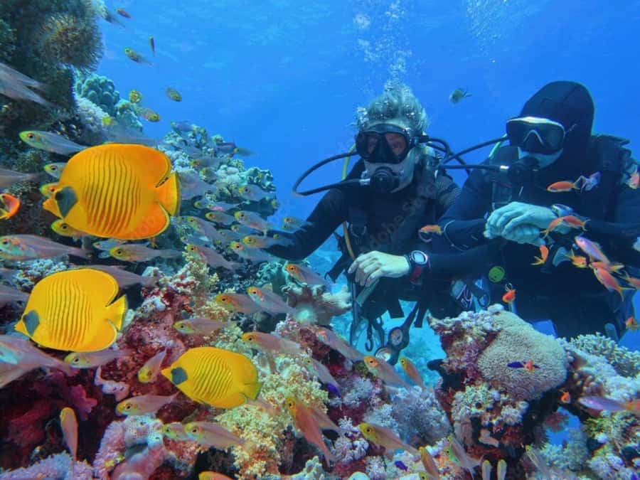Phuket: Racha Island and Coral Islands + Scuba Beach Dive - Photos, timing, and packing tips that keep the day smooth