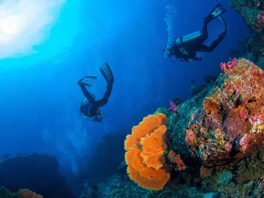 Phuket: Racha Island and Coral Islands + Scuba Beach Dive - Who should book this (and who should skip it)