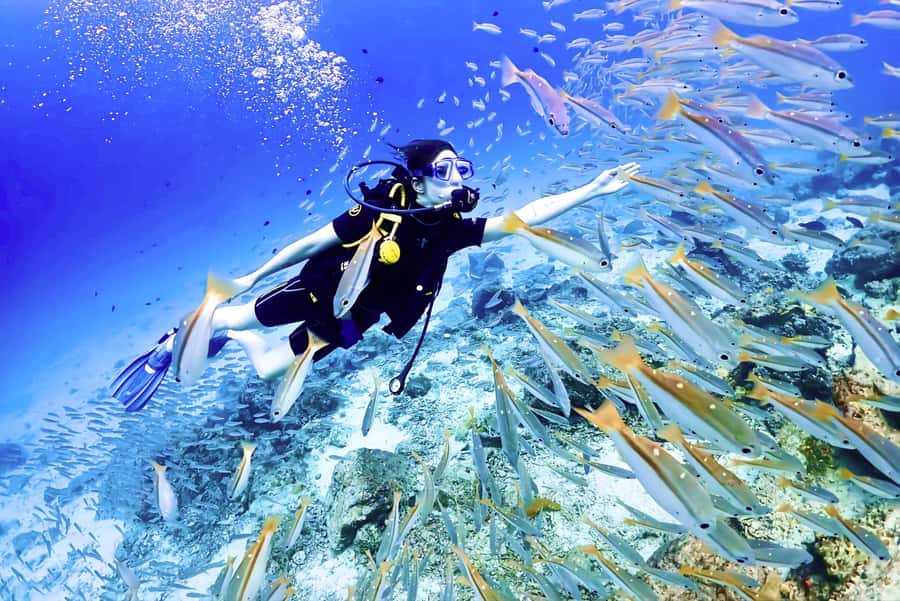 Phuket: Scuba Diving Maithon Or Racha Islands For All Levels - Key highlights at a glance