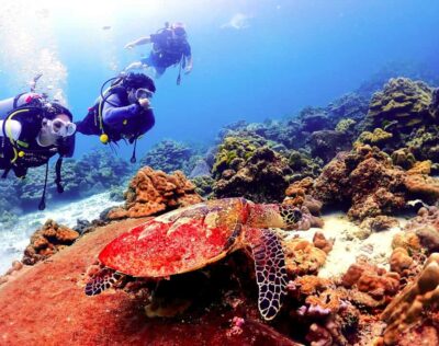 Phuket: Scuba Diving Maithon Or Racha Islands For All Levels - Small-group coaching: what “max 2” means for your confidence