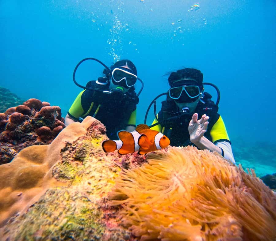 Phuket: Scuba Diving Maithon Or Racha Islands For All Levels - The stops between underwater time: breaks, lunch, and Coral Island free time