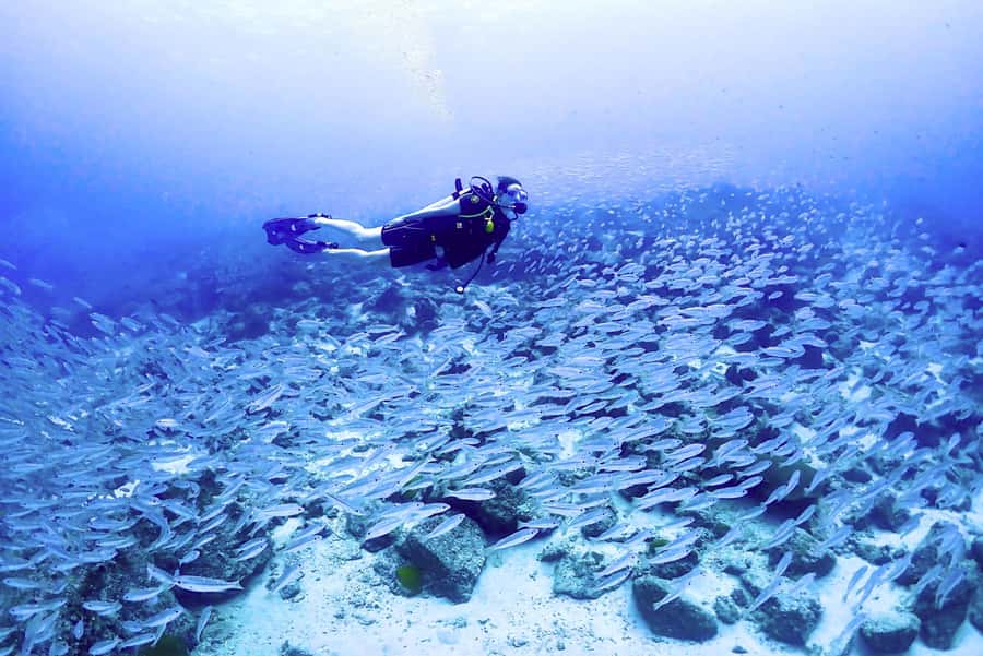 Phuket: Scuba Diving Maithon Or Racha Islands For All Levels - Equipment, snacks, and comfort: the small things that keep the day smooth