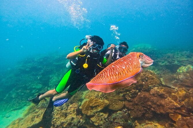 Phuket Scuba Diving Maiton Private Island Small Group or Snorkel - Key highlights you’ll feel the first hour