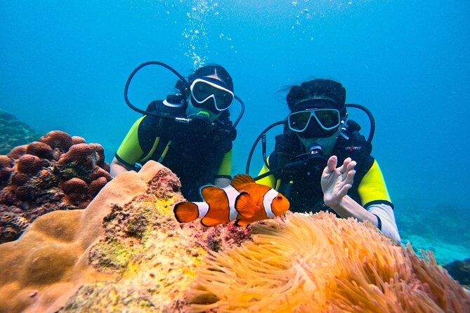Phuket Scuba Diving: Racha Island Or Maiton Island For All Levels - Racha vs. Maiton: choosing the right Phuket water day