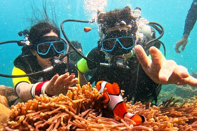 Phuket Scuba Diving: Racha Island Or Maiton Island For All Levels - Price and what you actually get for $97.79