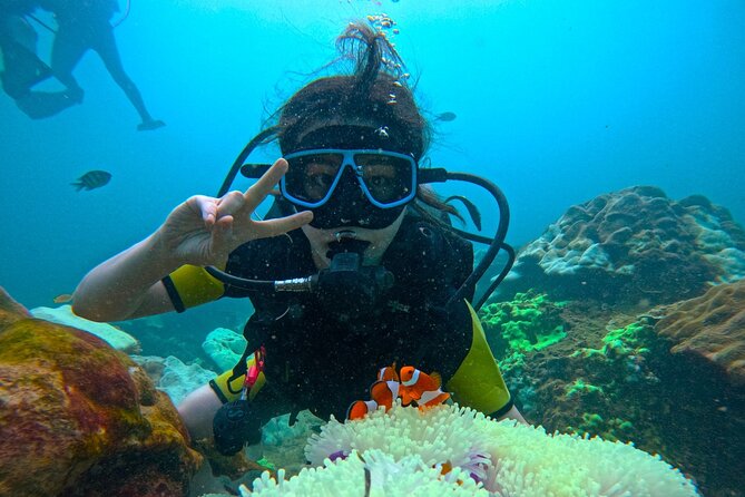 Phuket Scuba Diving: Racha Island Or Maiton Island For All Levels - Ko Racha Yai and Ko Racha Noi: wildlife-focused underwater time