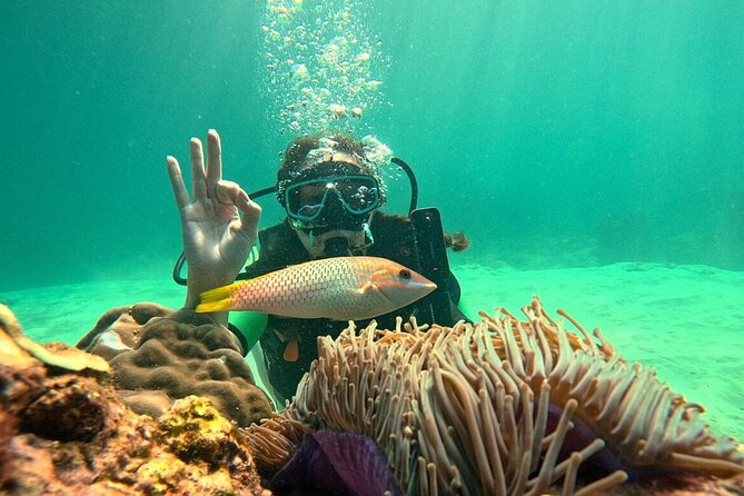 Phuket Scuba Diving: Racha Island Or Maiton Island For All Levels - Coral Island as a waypoint in the route