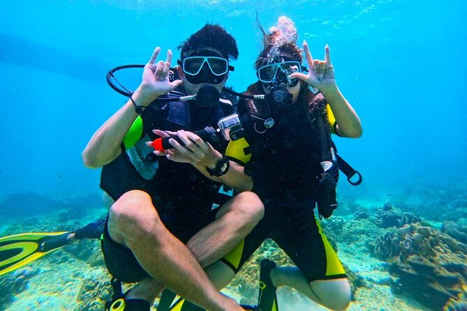 Phuket Scuba Diving: Racha Island Or Maiton Island For All Levels - Marine life you can realistically expect