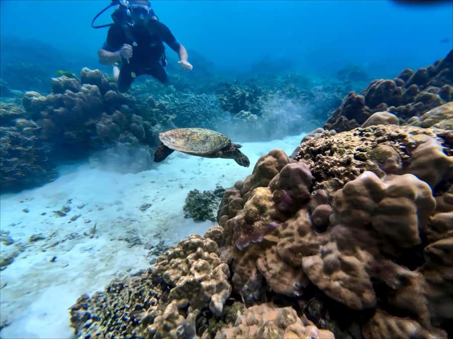 Phuket Scuba Diving Racha Islands 1-3 Dives For All Levels - Key Points You’ll Feel During the Day