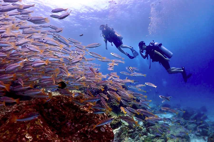 Phuket Scuba Diving Racha Islands 1-3 Dives For All Levels - Phuket Pickup to Chalong Pier: Where the Day Starts Smooth