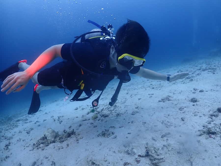 Phuket: Try SCUBA DIVING Full Day Experience 2 Dives - How the Day Flows: Pickup, Chalong, and the Ride Out to the Island