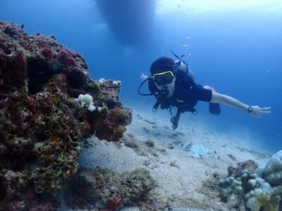 Phuket: Try SCUBA DIVING Full Day Experience 2 Dives - Meet the Instructor: Aum Scuba and Nigel’s Calm Coaching