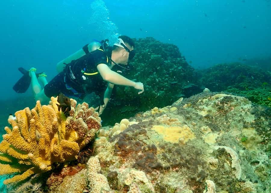 Phuket: Try SCUBA DIVING Full Day Experience 2 Dives - Your Second Underwater Session: A Real Chance to Enjoy It