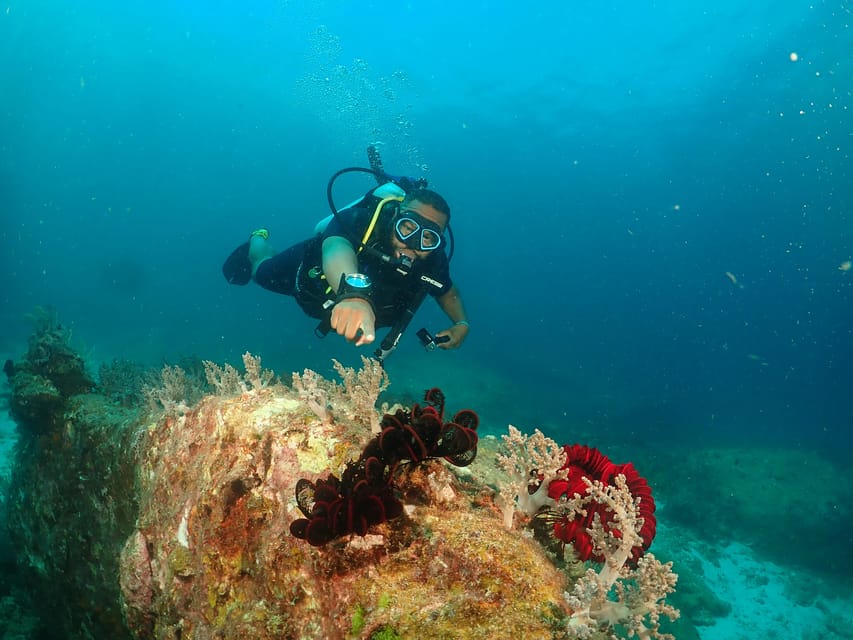 Phuket: Try SCUBA DIVING Full Day Experience 3 Dives - What to Bring and How to Avoid Common Stress
