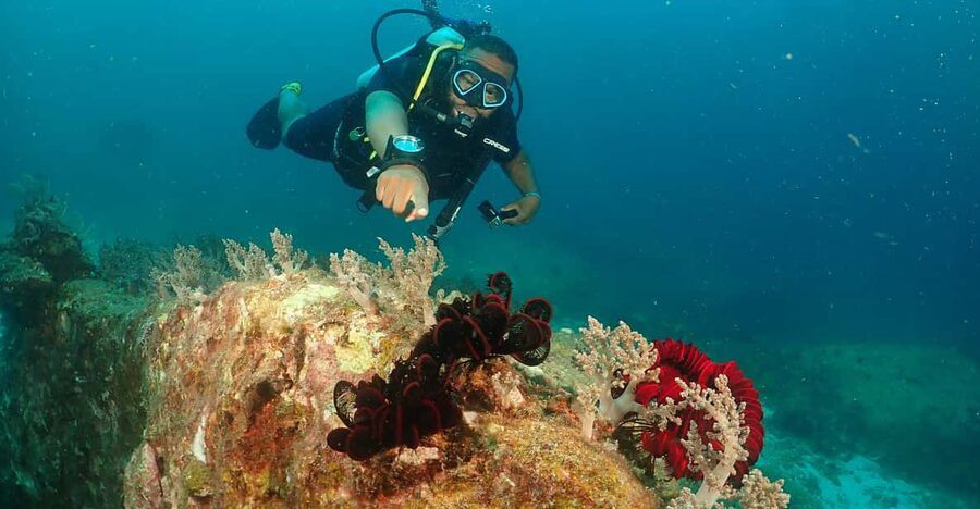 Phuket: Try SCUBA DIVING Full Day Experience 3 Dives - Racha Yai and Racha Noi: Marine Life and Coral Areas