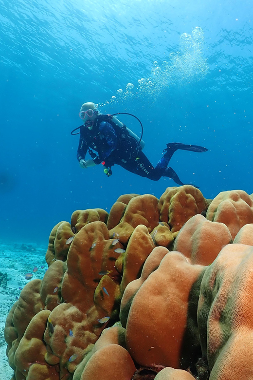 Phuket: Try SCUBA DIVING Full Day Experience 3 Dives - Equipment, Insurance, and What’s Included