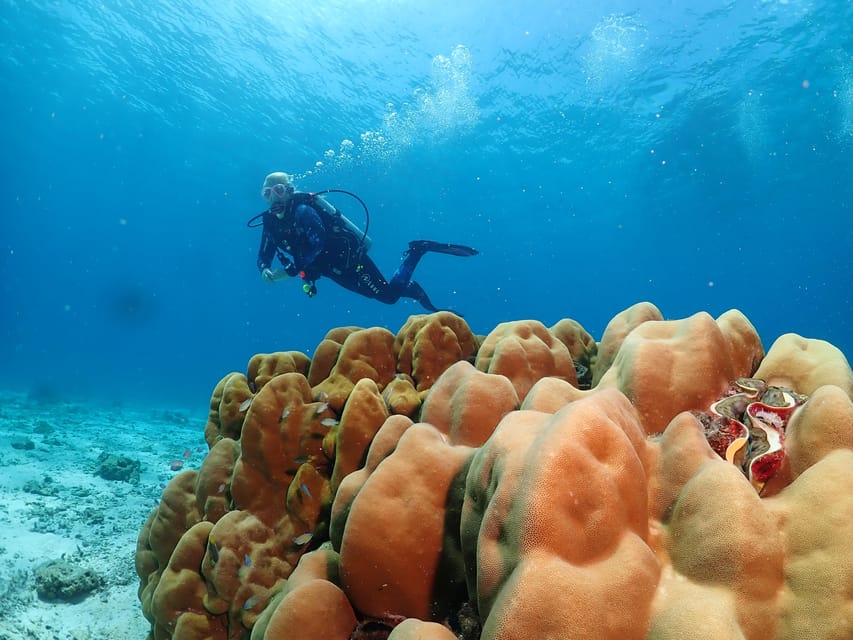 Phuket: Try SCUBA DIVING Full Day Experience 3 Dives - Price and Value: Is $193 Fair?