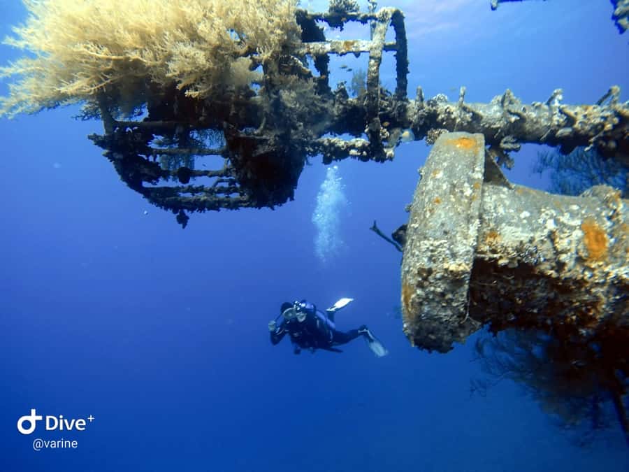 Pivate scuba diving in the Red Sea of Aqaba - Key things that make this Aqaba scuba experience worth your time