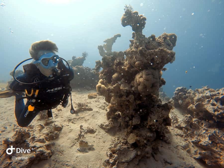 Pivate scuba diving in the Red Sea of Aqaba - The 2-hour flow: training, shallow water practice, then deeper time