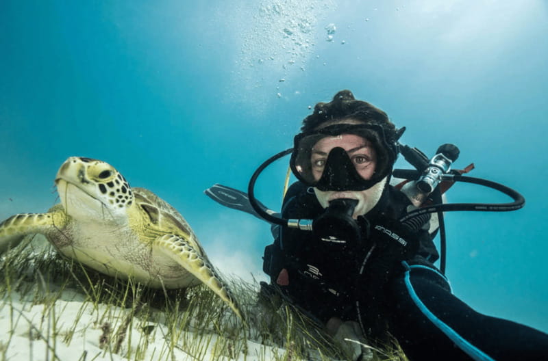 Playa del Carmen: Guided Reef Diving for Certified Divers - What a certified reef scuba day looks like in Playa del Carmen