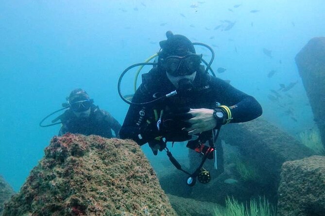 Pleasure Scuba Diving in Fujairah for Certified Diver - Key things that make this Fujairah scuba day work